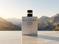 Chanel - Allure Homme Sport